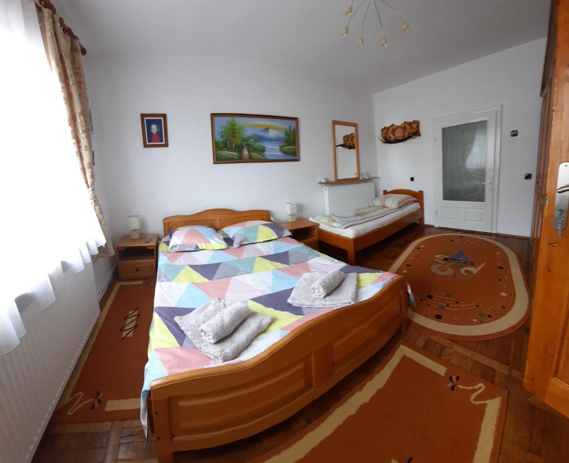 Casa Melinda Διαμέρισμα Vişeu de Sus Εξωτερικό φωτογραφία