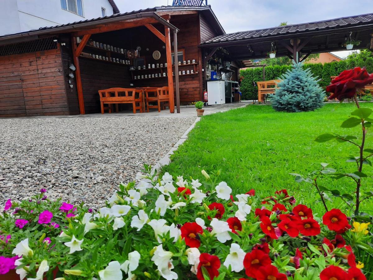 Casa Melinda Διαμέρισμα Vişeu de Sus Εξωτερικό φωτογραφία