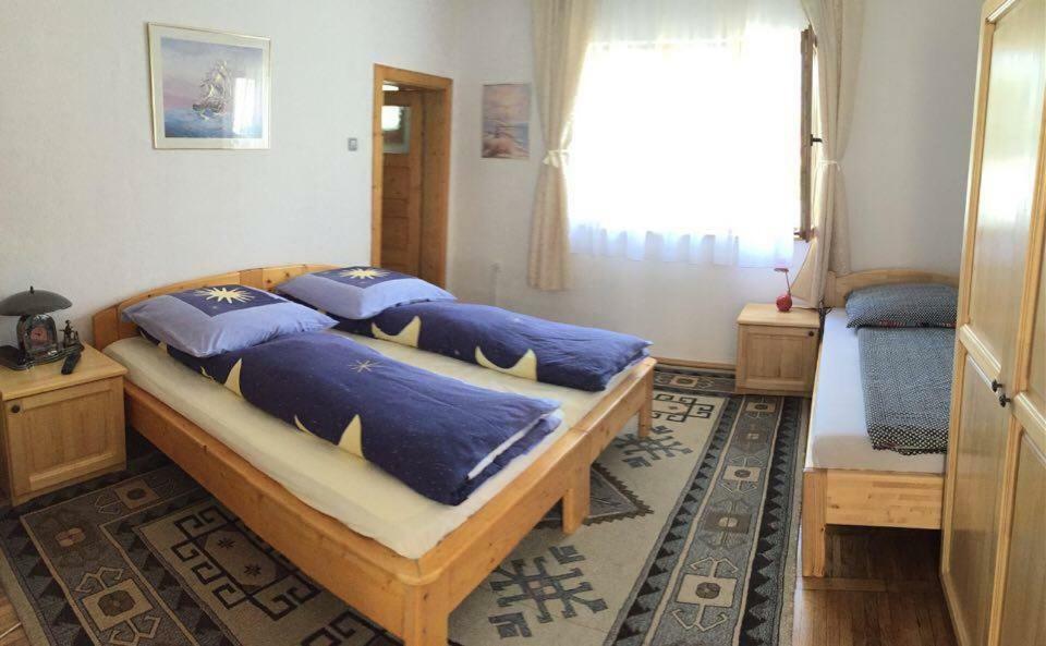 Casa Melinda Διαμέρισμα Vişeu de Sus Εξωτερικό φωτογραφία